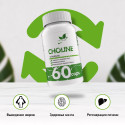 Холин битартрат / Choline Bitartrate / 60 капс.
